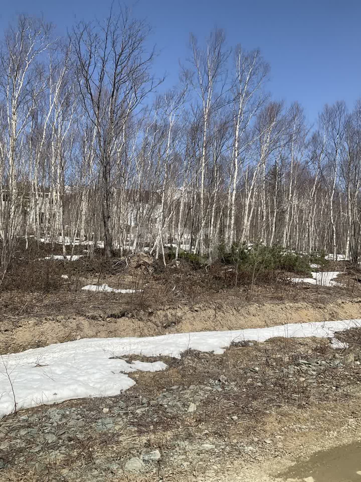 Продажа участка, Южно-Сахалинск, Сахалинская область,  Южно-Сахалинск