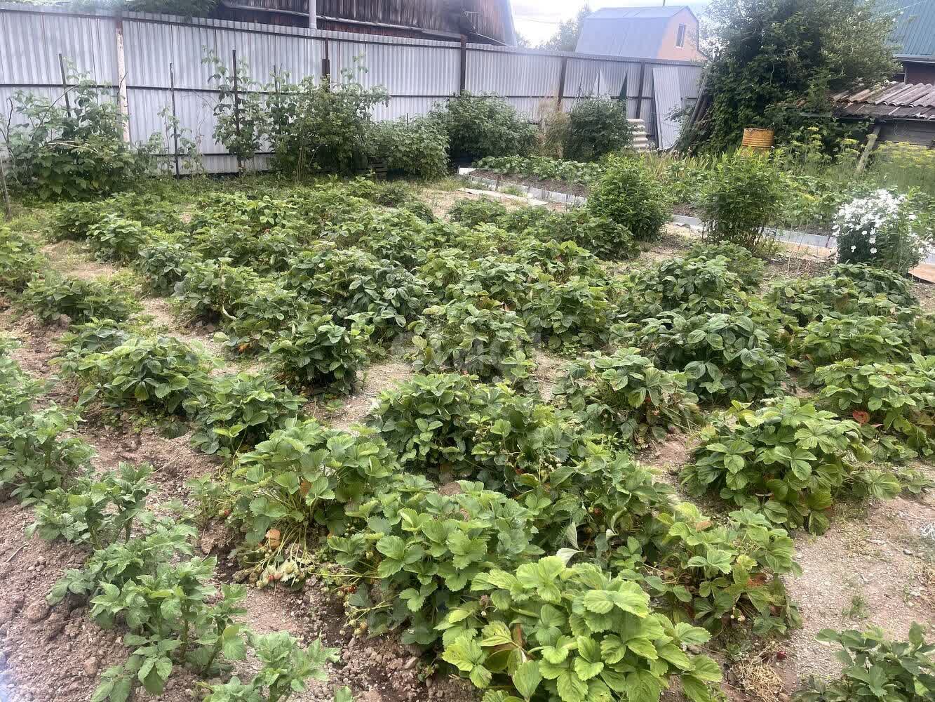 Продажа дачи, 50м <sup>2</sup>, 6 сот., Южно-Сахалинск, Сахалинская область,  Южно-Сахалинск