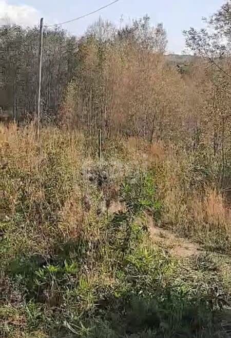 Продажа участка, Южно-Сахалинск, Сахалинская область,  Южно-Сахалинск