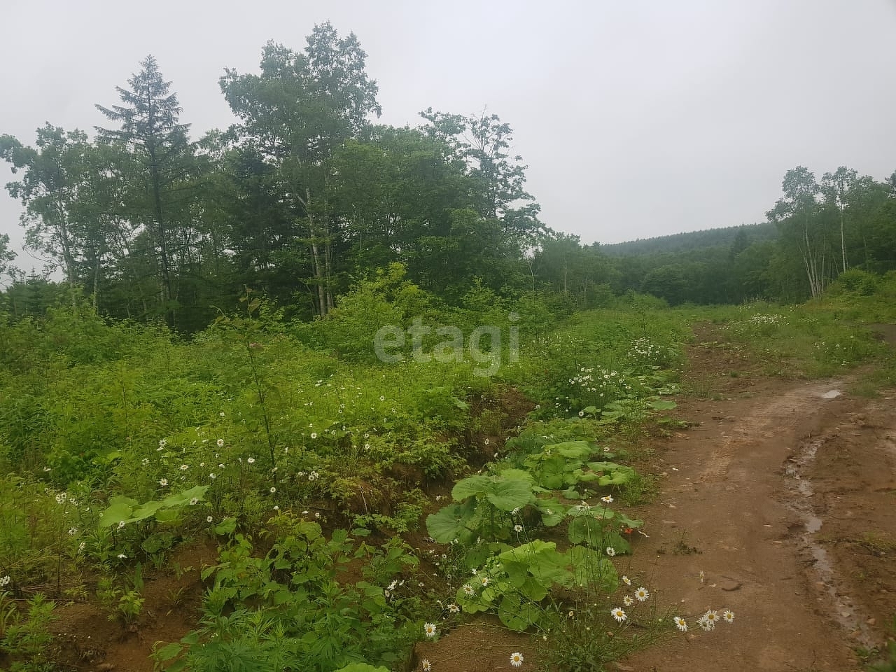 Продажа участка, Южно-Сахалинск, Сахалинская область,  Южно-Сахалинск