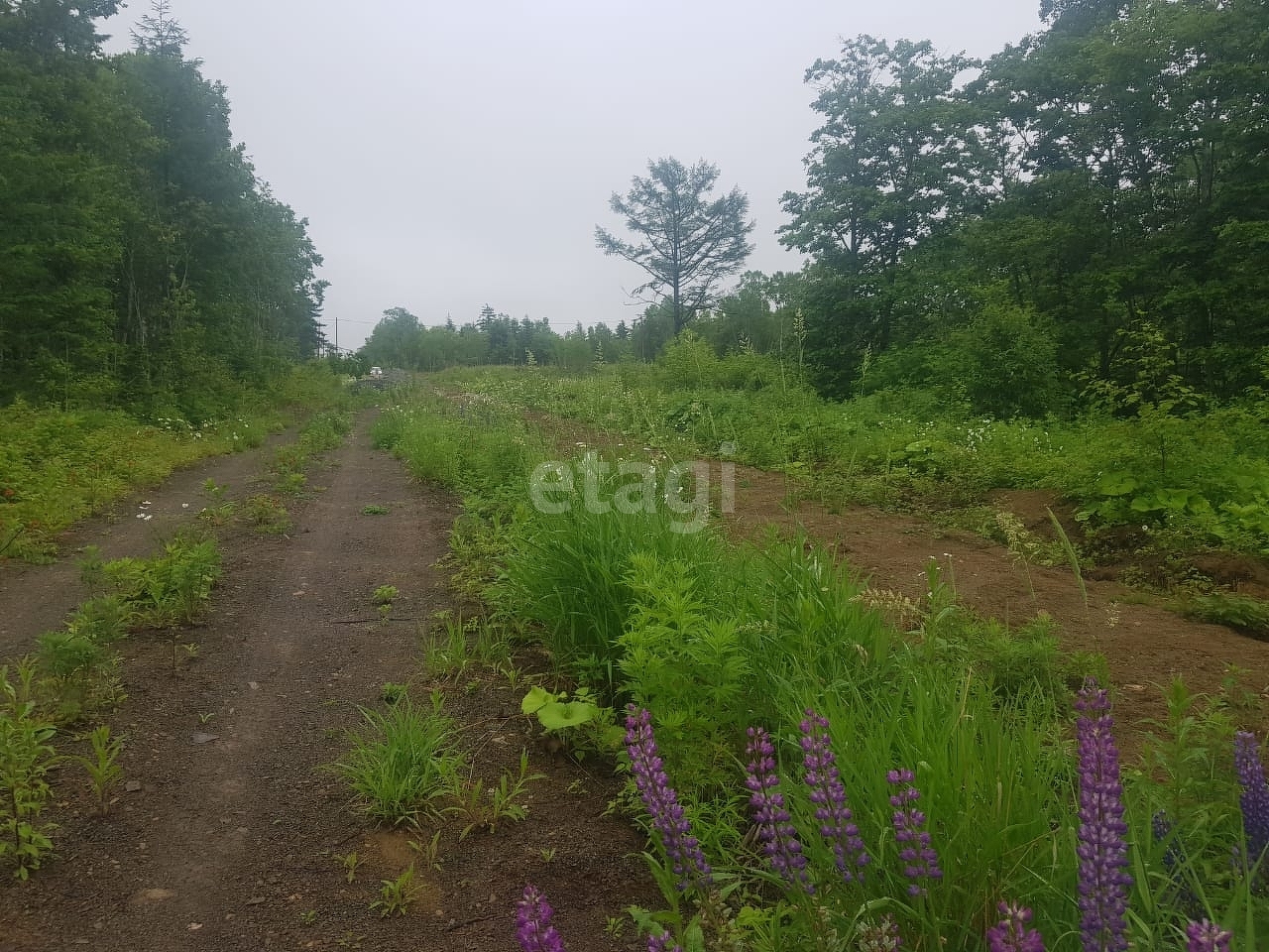 Продажа участка, Южно-Сахалинск, Сахалинская область,  Южно-Сахалинск