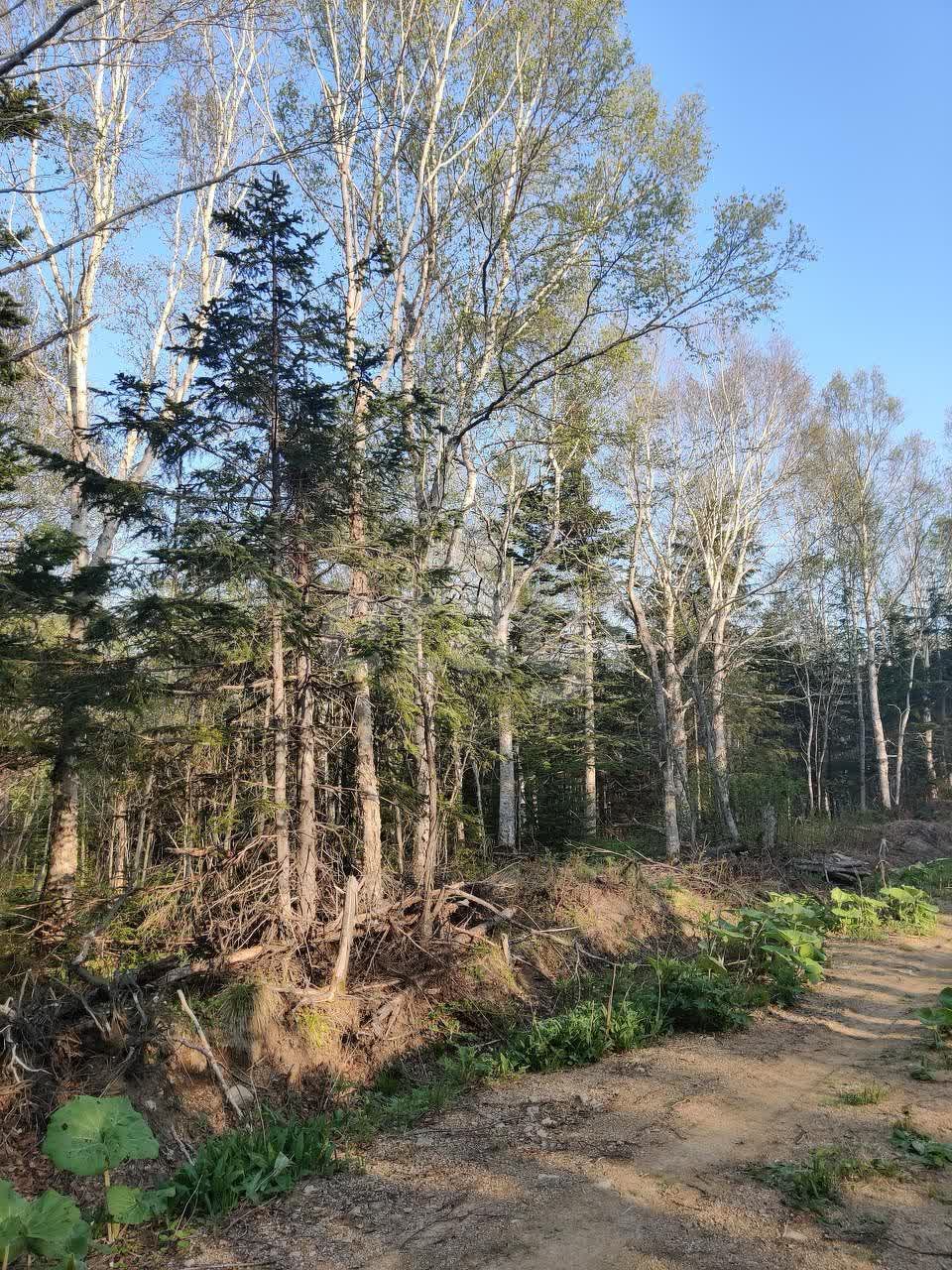 Продажа участка, Южно-Сахалинск, Сахалинская область,  Южно-Сахалинск