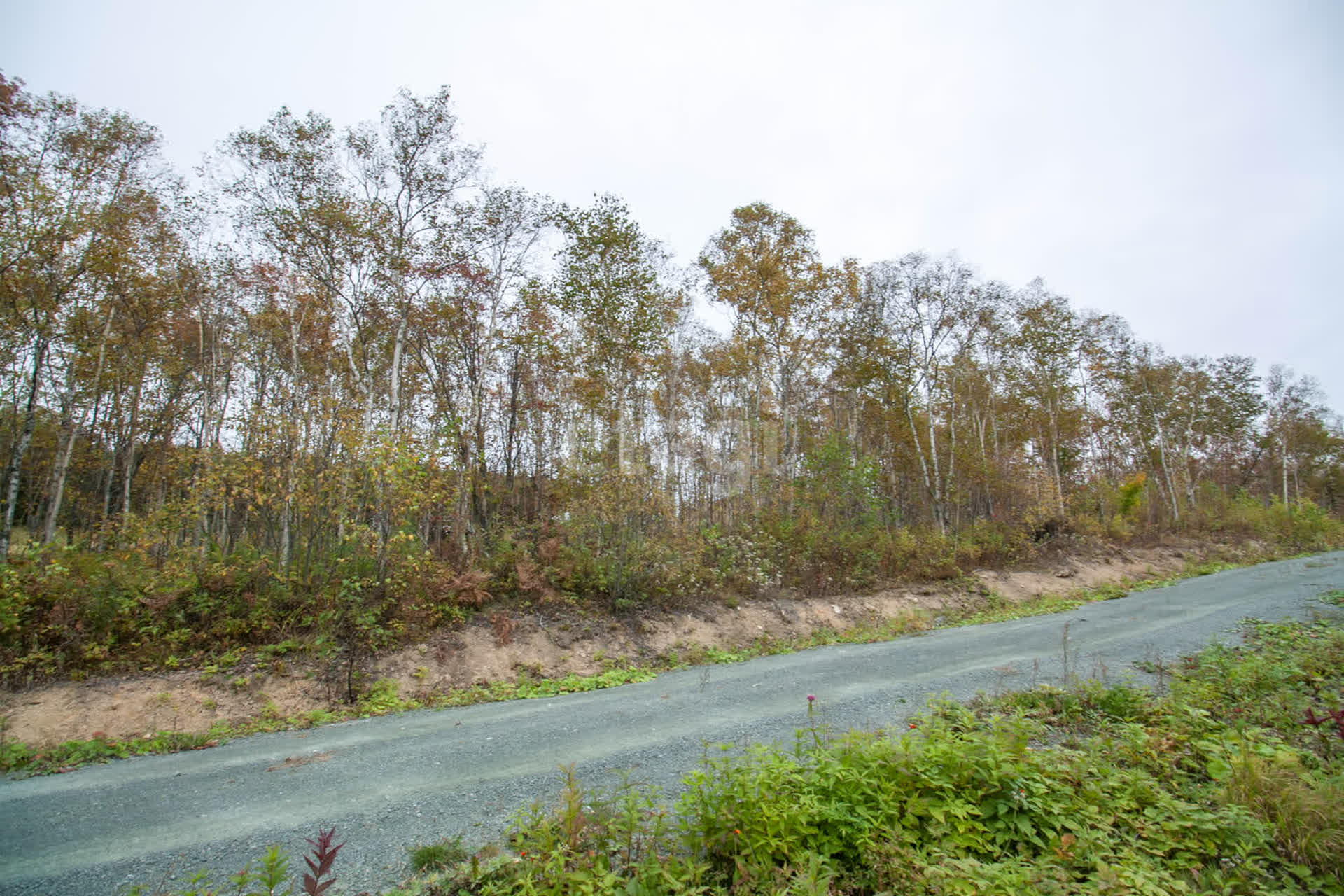 Продажа участка, Южно-Сахалинск, Сахалинская область,  