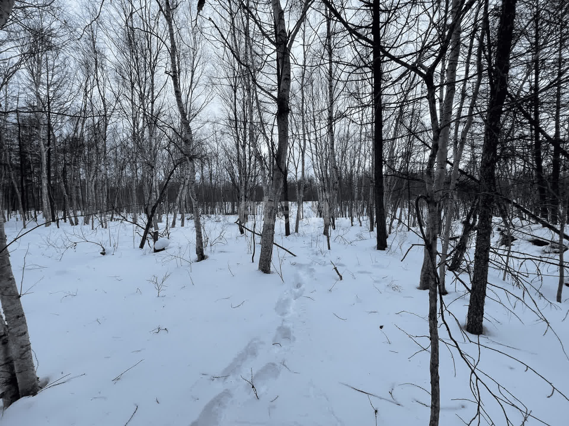 Продажа участка, Южно-Сахалинск, Сахалинская область,  Южно-Сахалинск