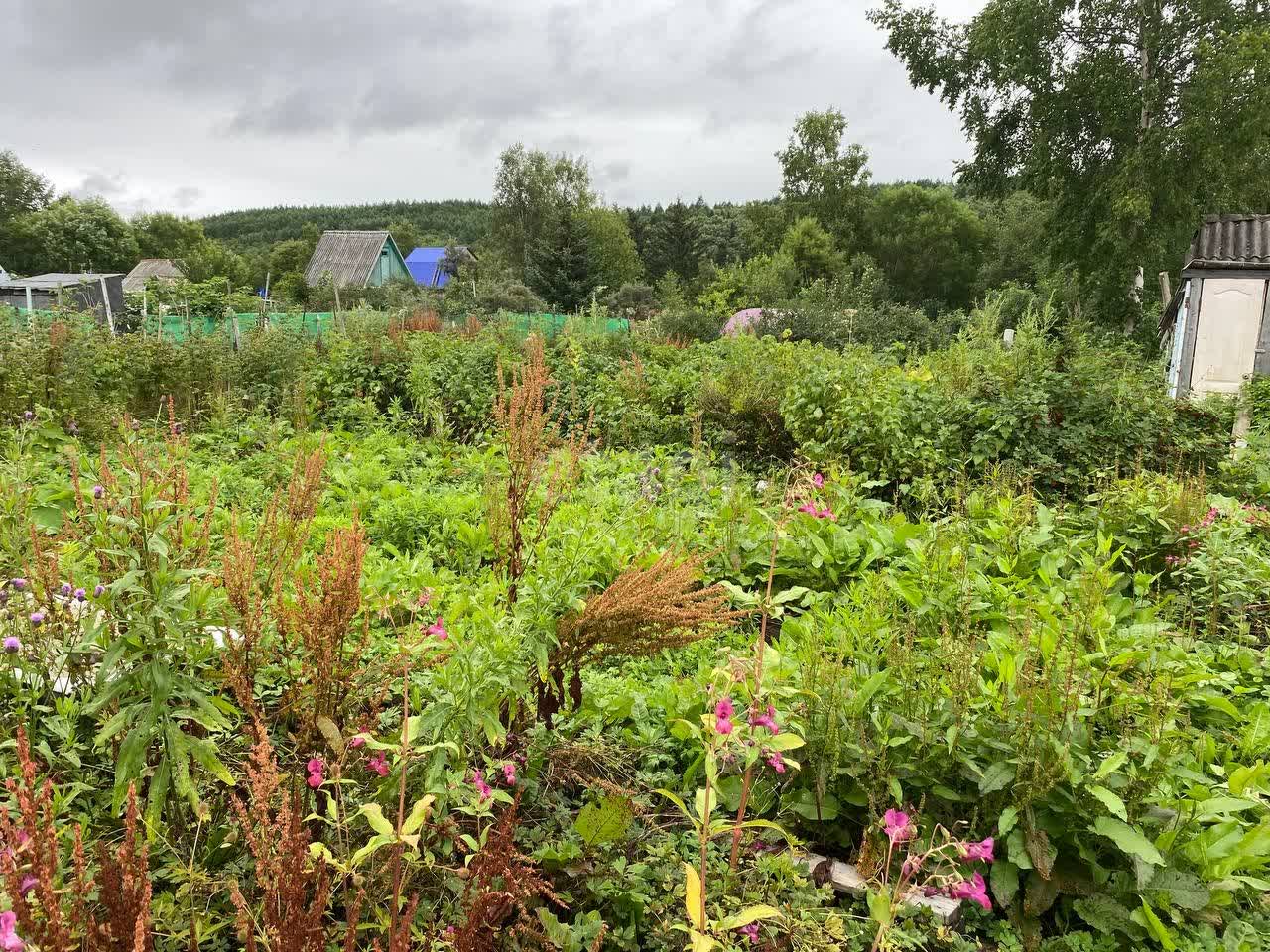 Продажа дачи, 20м <sup>2</sup>, 11 сот., Южно-Сахалинск, Сахалинская область,  Южно-Сахалинск