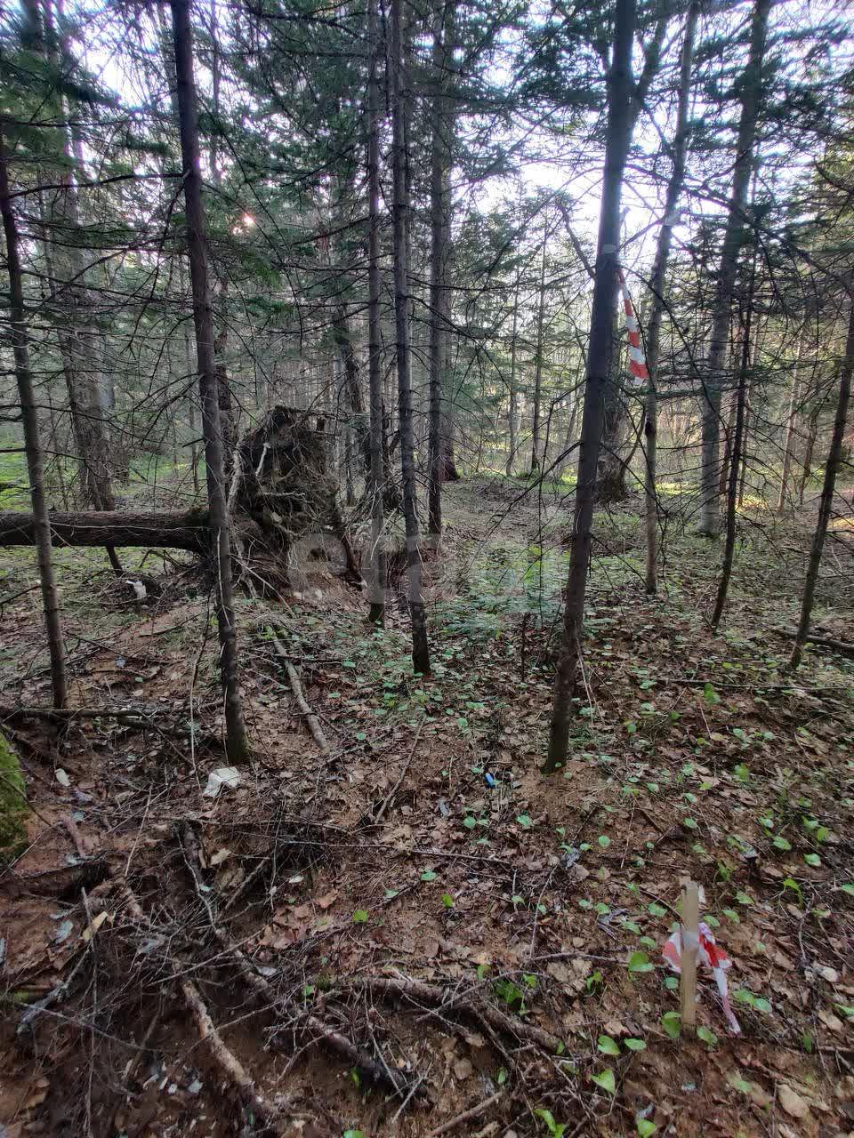 Продажа участка, Южно-Сахалинск, Сахалинская область,  Южно-Сахалинск