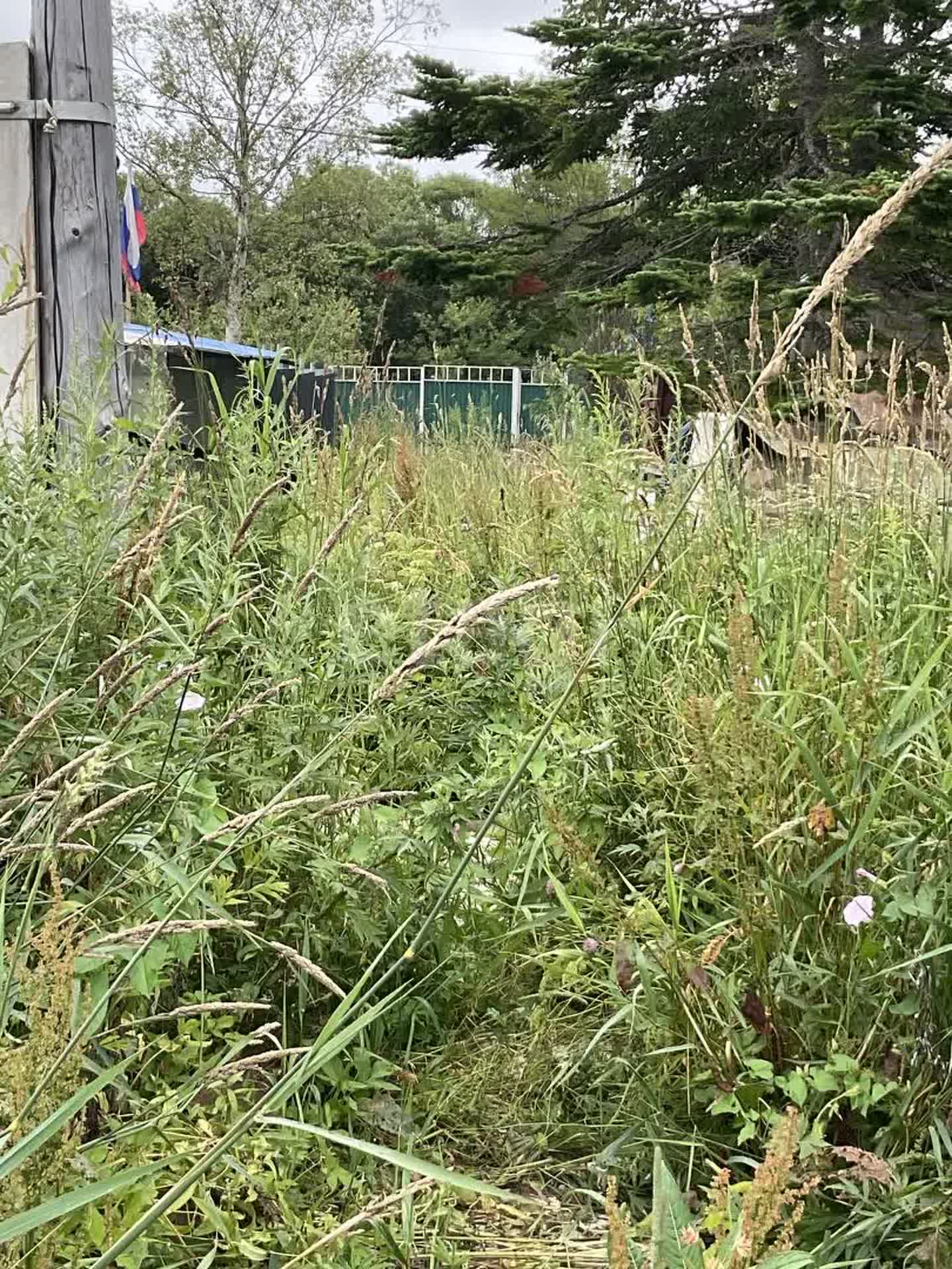 Продажа участка, Южно-Сахалинск, Сахалинская область,  