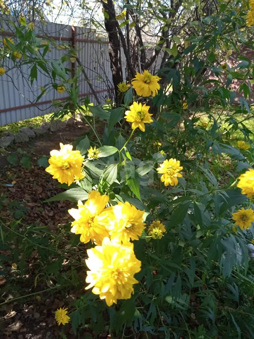 Продажа дома, 100м <sup>2</sup>, 15 сот., Южно-Сахалинск, Сахалинская область,  