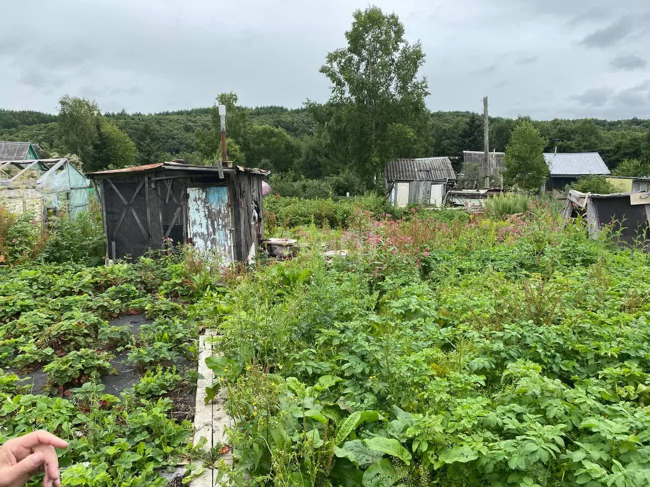 Продажа дачи, 20м <sup>2</sup>, 11 сот., Южно-Сахалинск, Сахалинская область,  Южно-Сахалинск