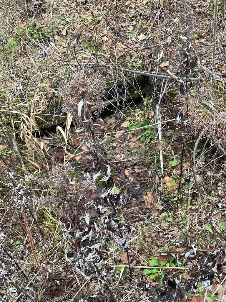 Продажа участка, Южно-Сахалинск, Сахалинская область,  Южно-Сахалинск