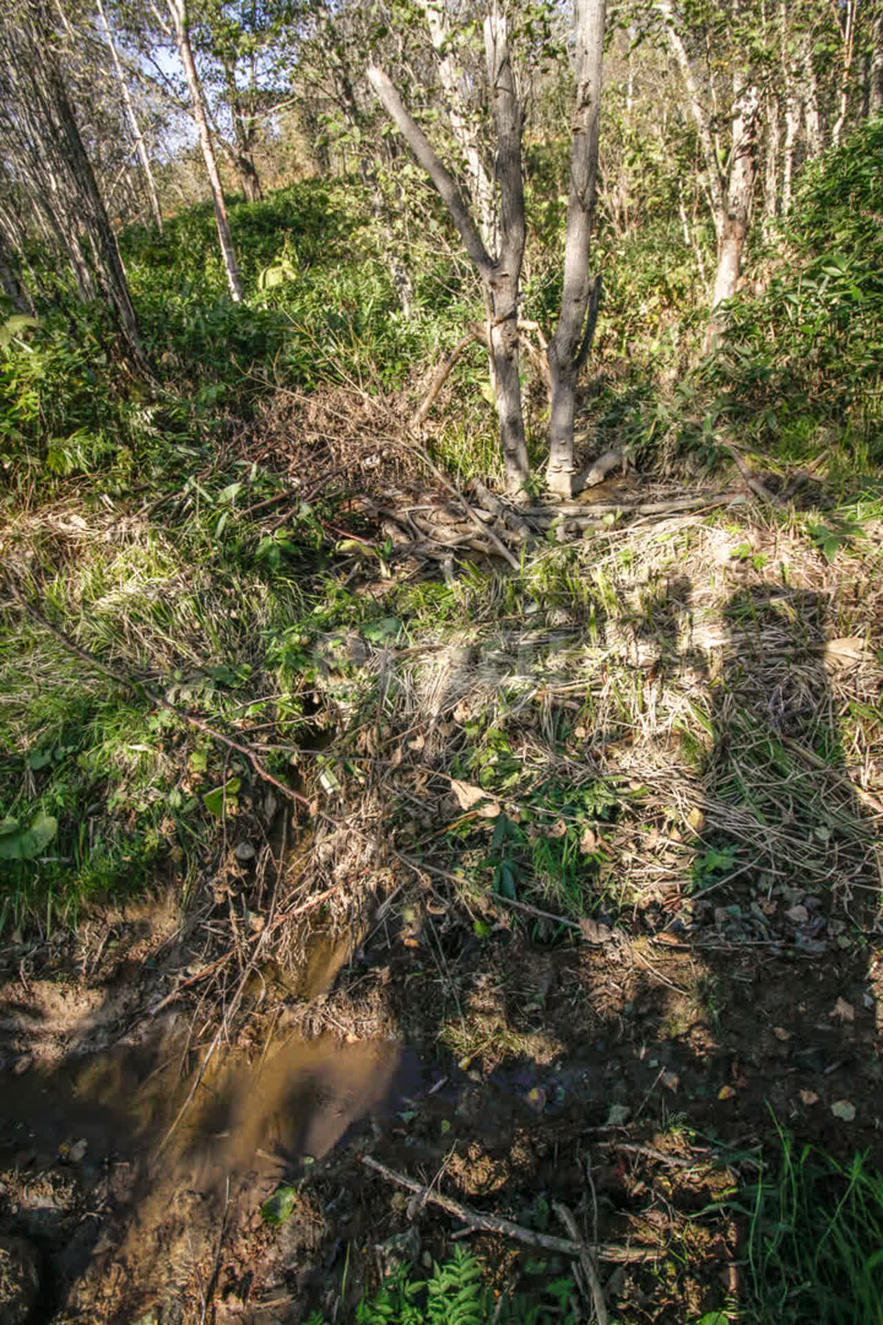 Продажа участка, Южно-Сахалинск, Сахалинская область,  Южно-Сахалинск