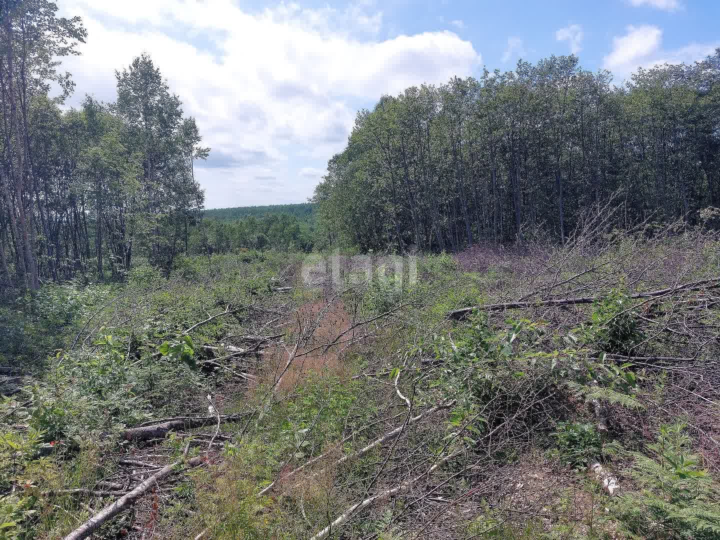 Продажа участка, Южно-Сахалинск, Сахалинская область,  