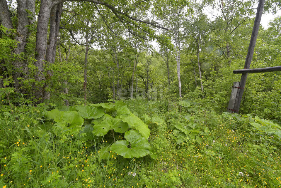 Продажа участка, Южно-Сахалинск, Сахалинская область,  Южно-Сахалинск