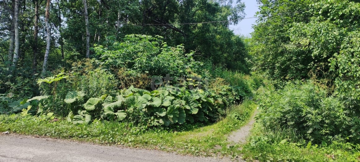 Продажа участка, Южно-Сахалинск, Сахалинская область,  Южно-Сахалинск