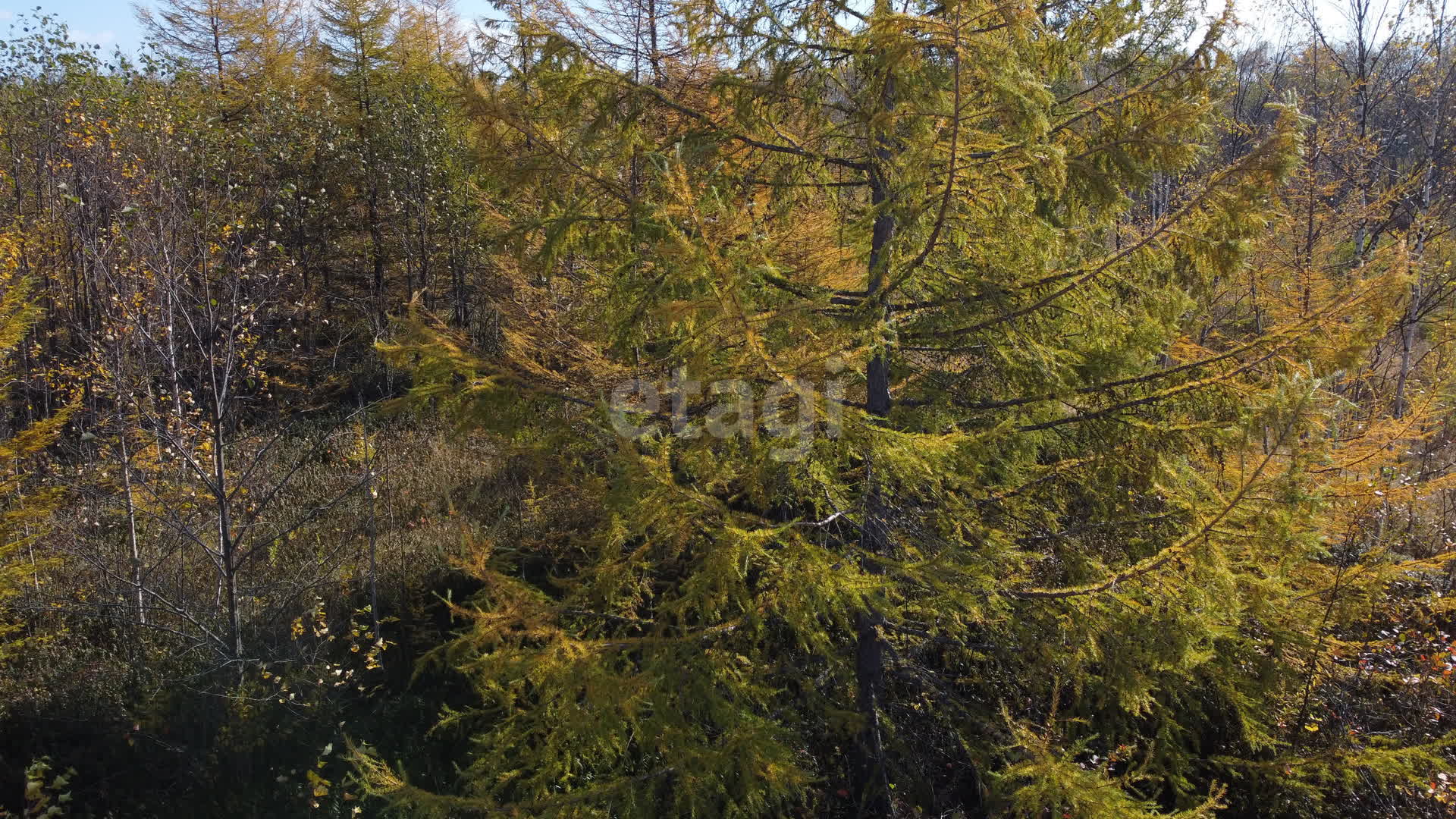 Продажа участка, Южно-Сахалинск, Сахалинская область,  Южно-Сахалинск