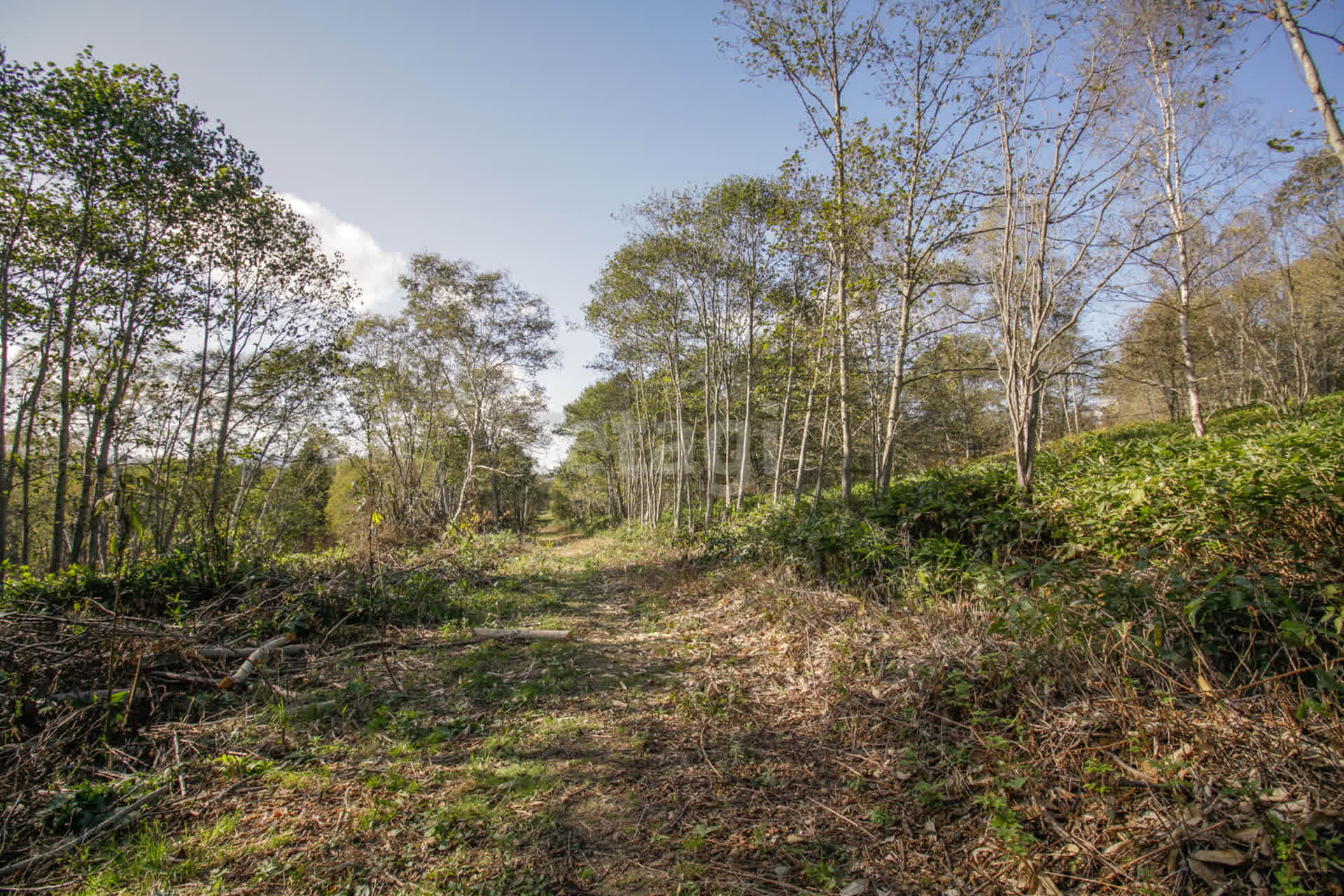Продажа участка, Южно-Сахалинск, Сахалинская область,  Южно-Сахалинск