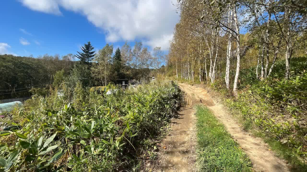 Продажа дачи, 30м <sup>2</sup>, 11 сот., Южно-Сахалинск, Сахалинская область,  