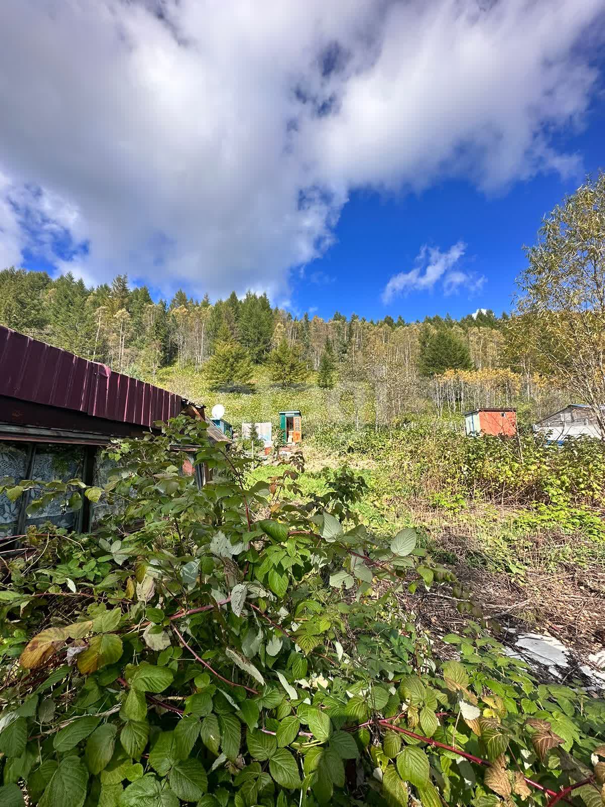 Продажа дачи, 30м <sup>2</sup>, 11 сот., Южно-Сахалинск, Сахалинская область,  Южно-Сахалинск