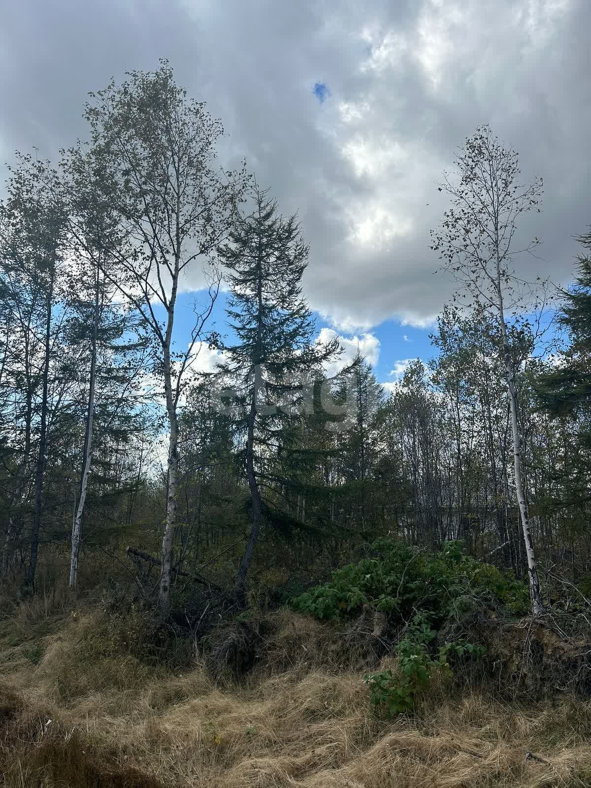 Продажа участка, Южно-Сахалинск, Сахалинская область,  Южно-Сахалинск