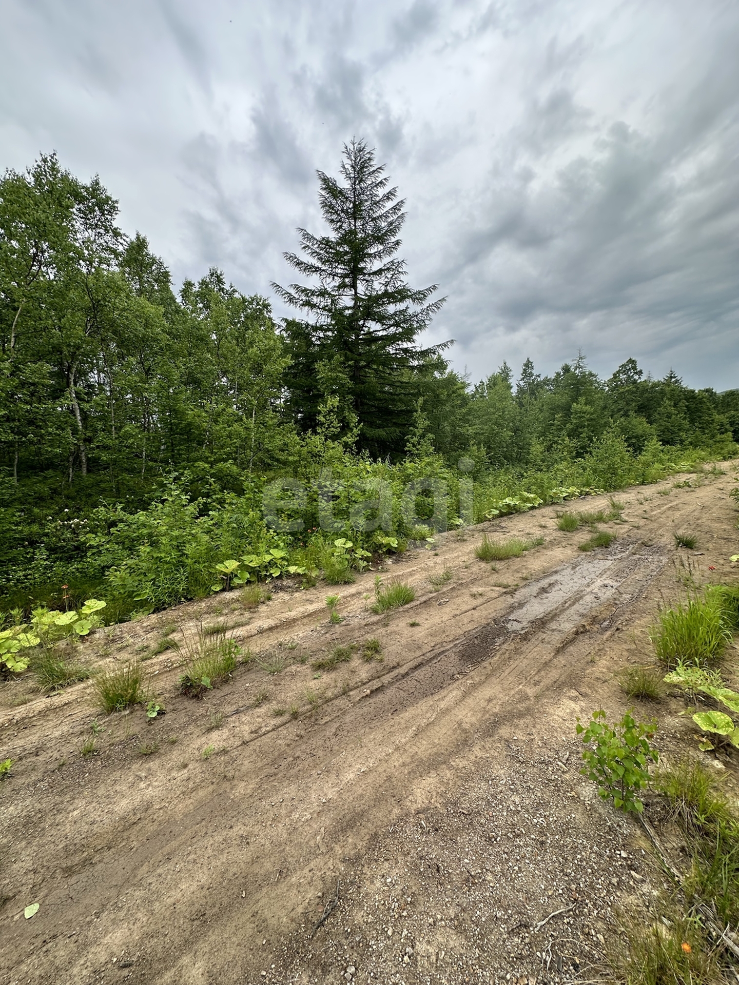 Продажа участка, Южно-Сахалинск, Сахалинская область,  