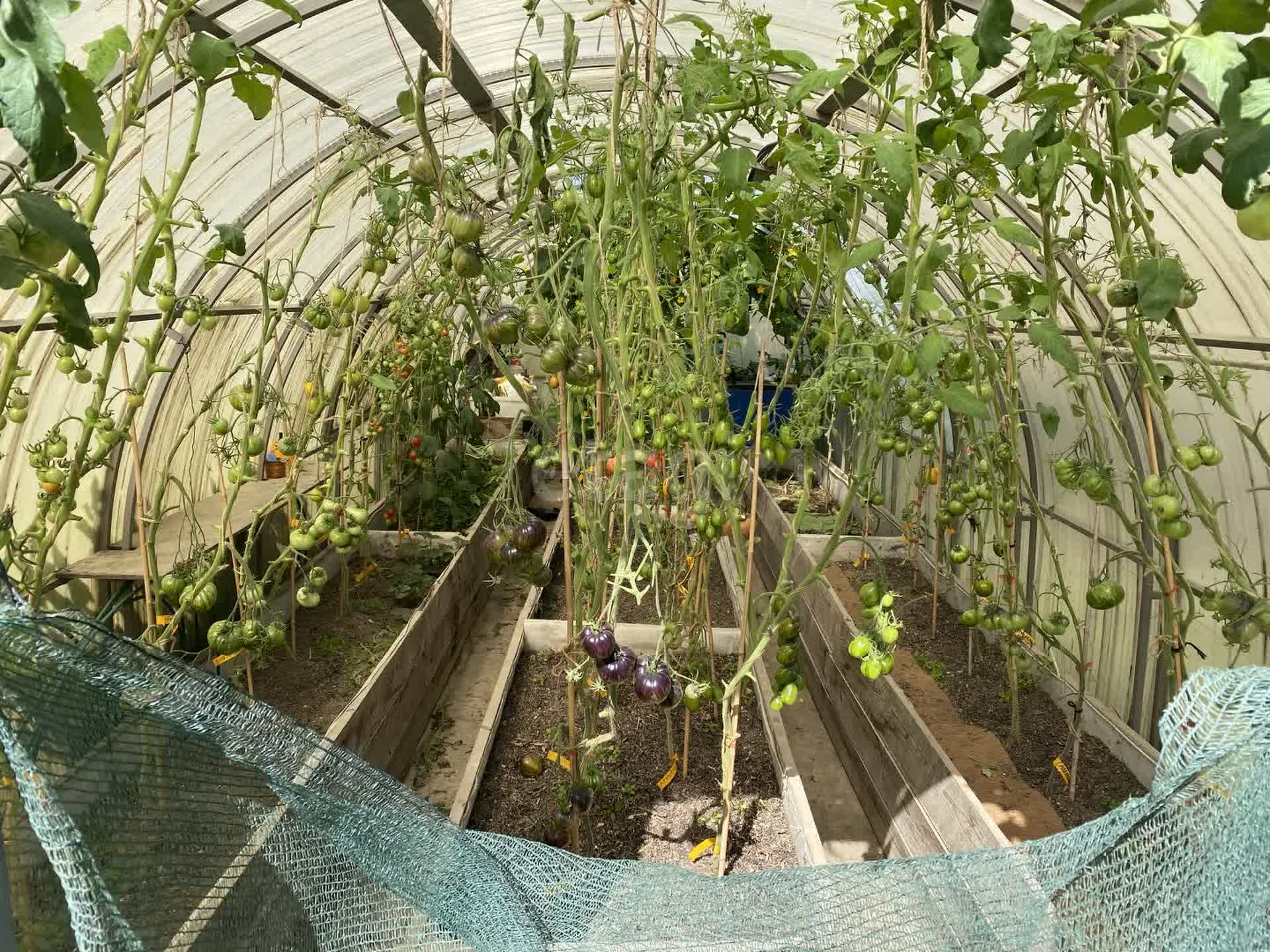 Продажа дома, 116м <sup>2</sup>, 10 сот., Южно-Сахалинск, Сахалинская область,  