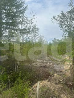 Продажа участка, Южно-Сахалинск, Сахалинская область,  Южно-Сахалинск