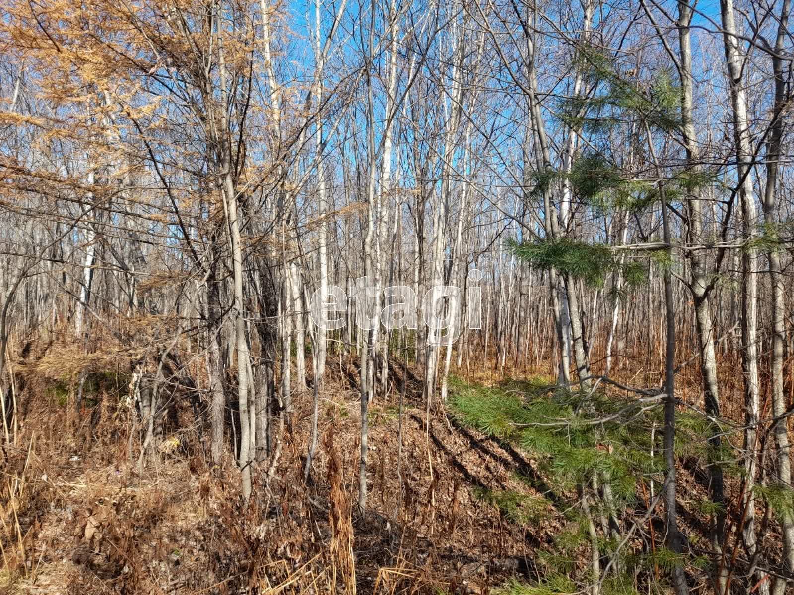 Продажа участка, Южно-Сахалинск, Сахалинская область,  