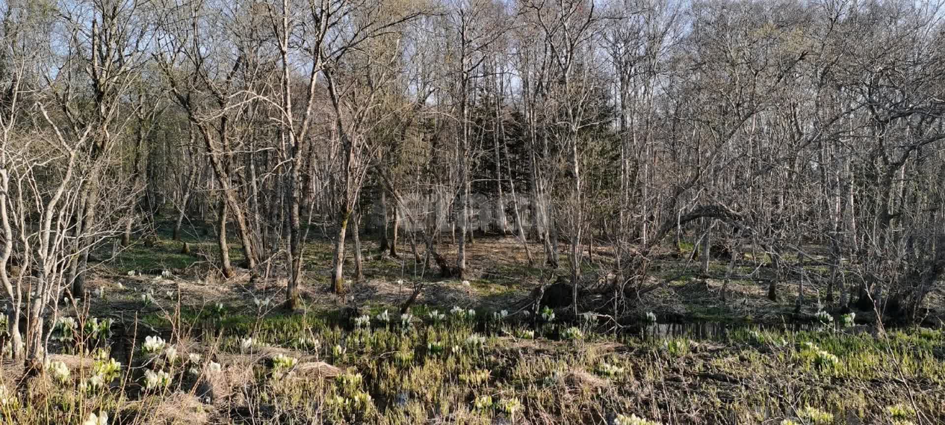 Продажа участка, Южно-Сахалинск, Сахалинская область,  Южно-Сахалинск