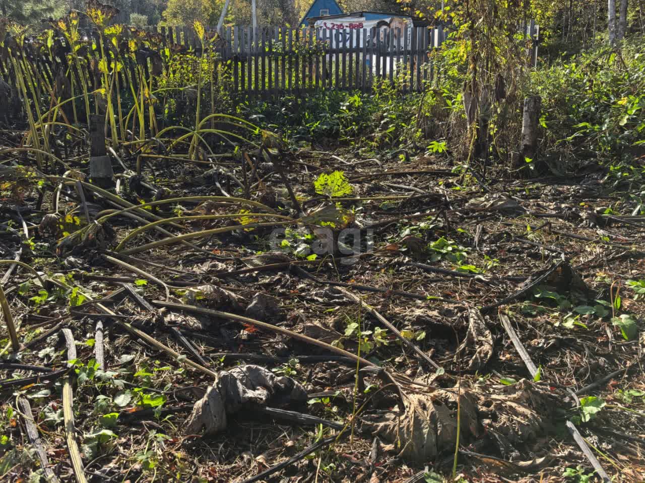 Продажа участка, Южно-Сахалинск, Сахалинская область,  Южно-Сахалинск