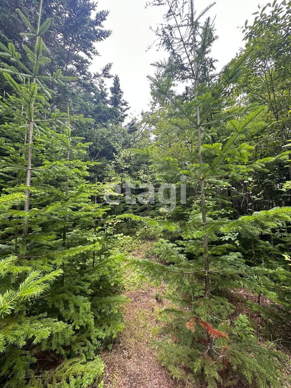 Продажа участка, Южно-Сахалинск, Сахалинская область,  Южно-Сахалинск