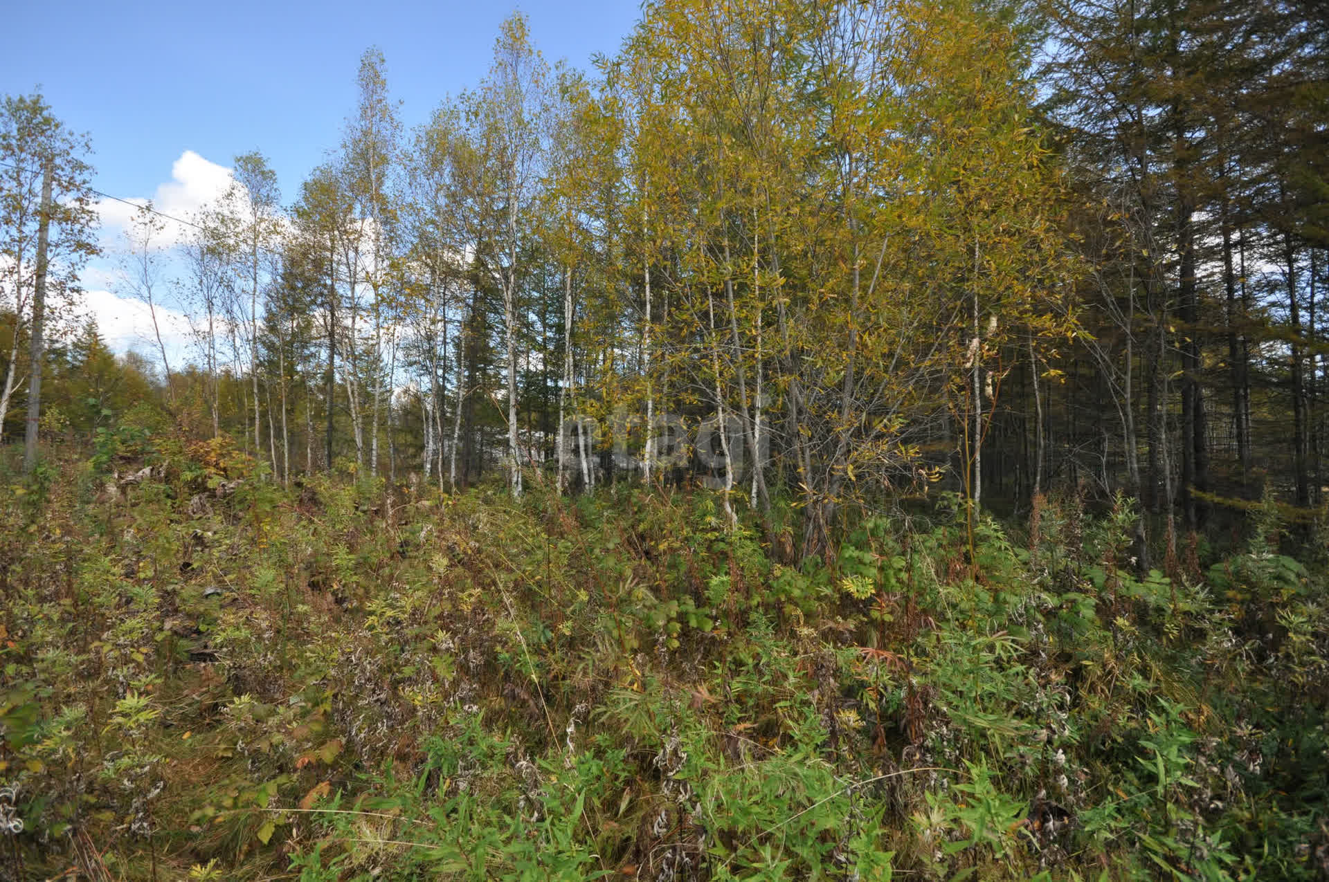 Продажа участка, Южно-Сахалинск, Сахалинская область,  Южно-Сахалинск