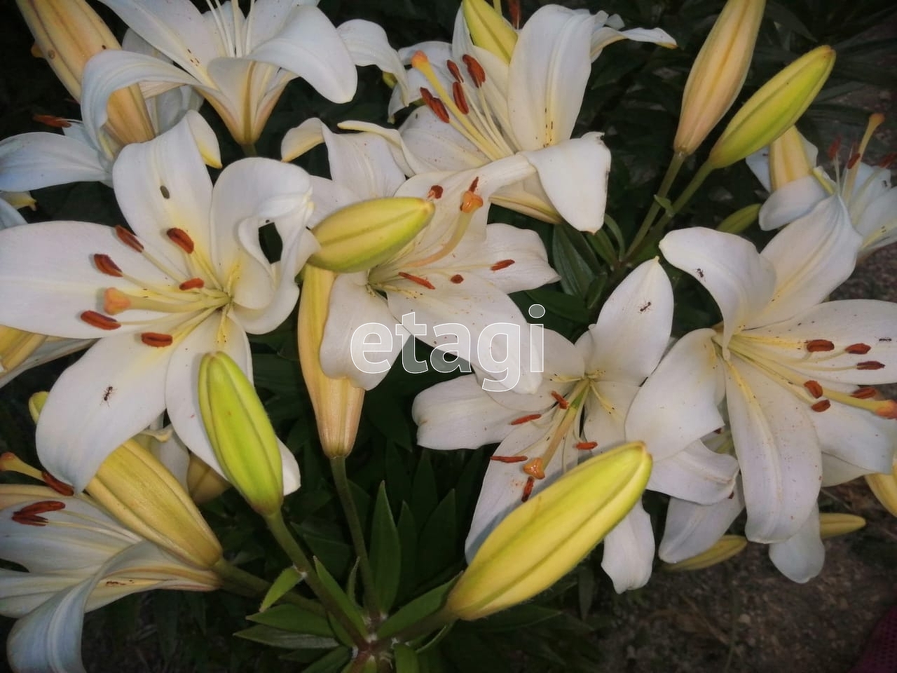 Продажа участка, Южно-Сахалинск, Сахалинская область,  