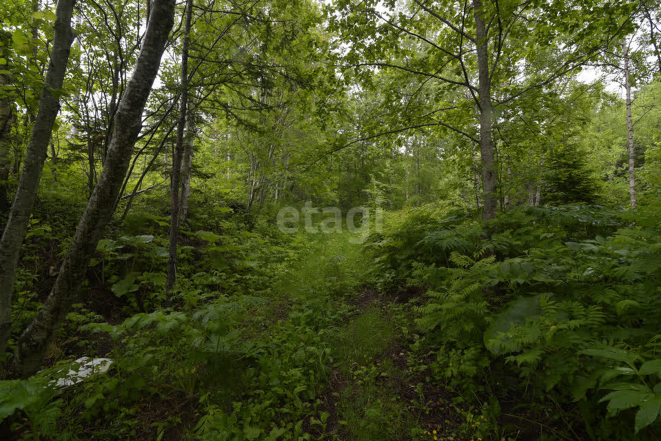Продажа участка, Южно-Сахалинск, Сахалинская область,  Южно-Сахалинск