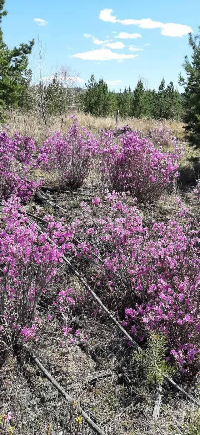 Продажа участка, Улан-Удэ, Республика Бурятия