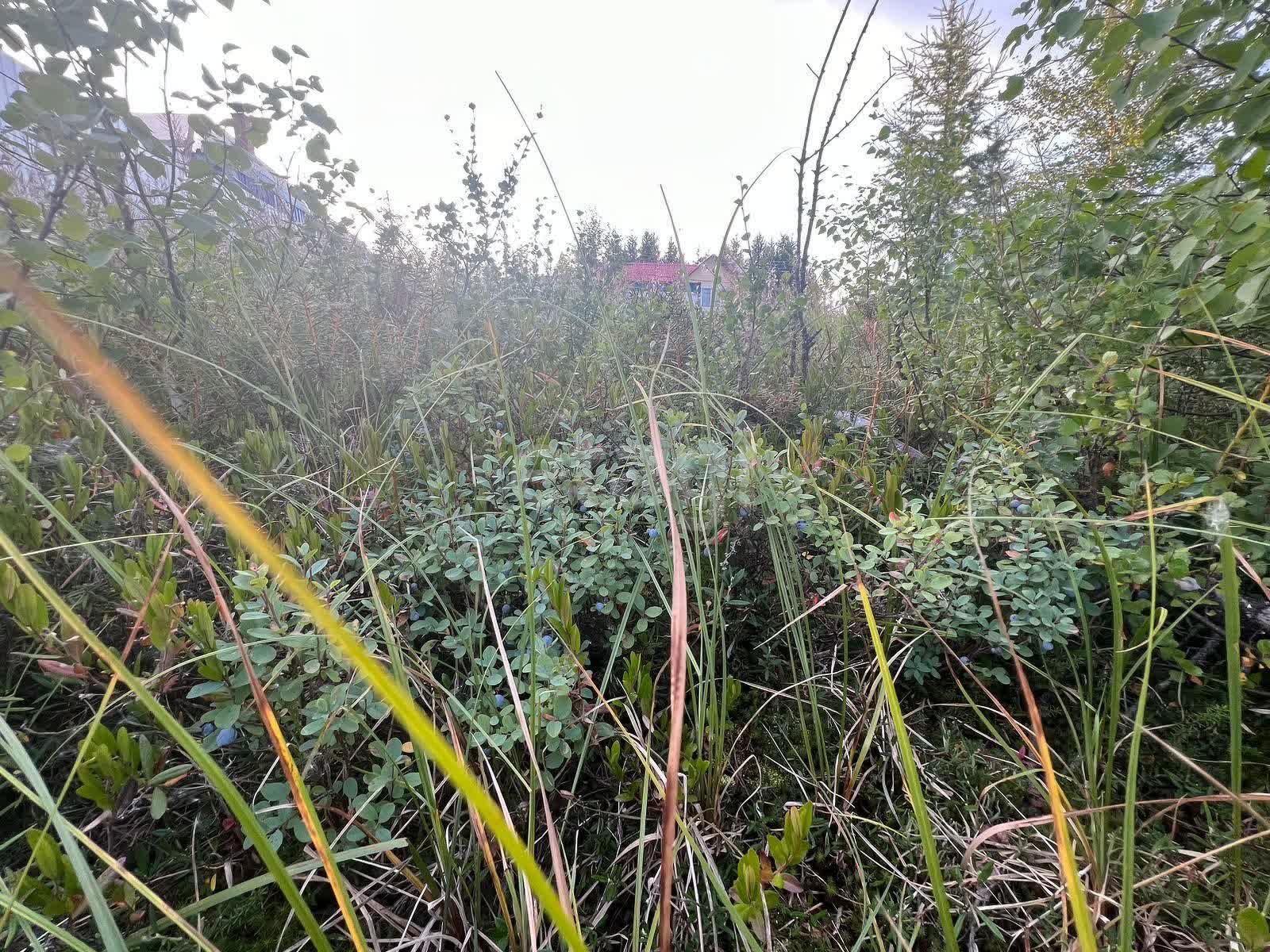 Продажа участка, Новый Уренгой, Ямало-Ненецкий АО,  Южная часть