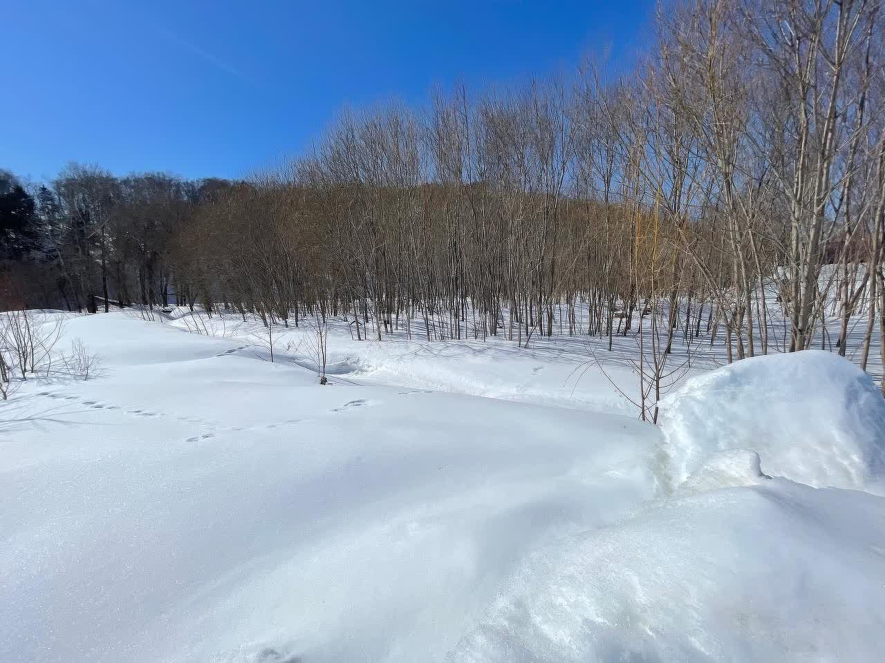 Продажа участка, Южно-Сахалинск, Сахалинская область,  Южно-Сахалинск