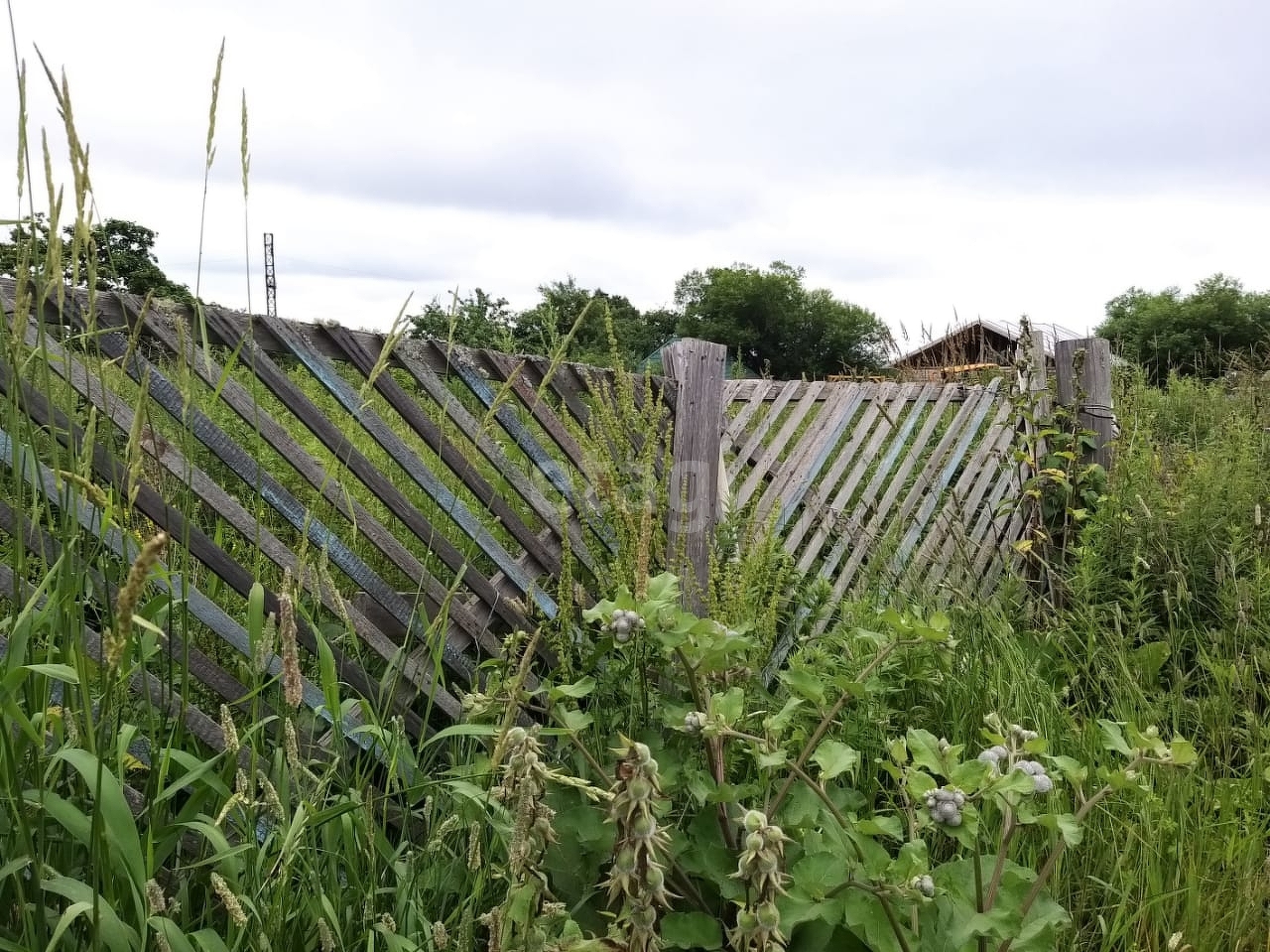 Продажа участка, Южно-Сахалинск, Сахалинская область,  