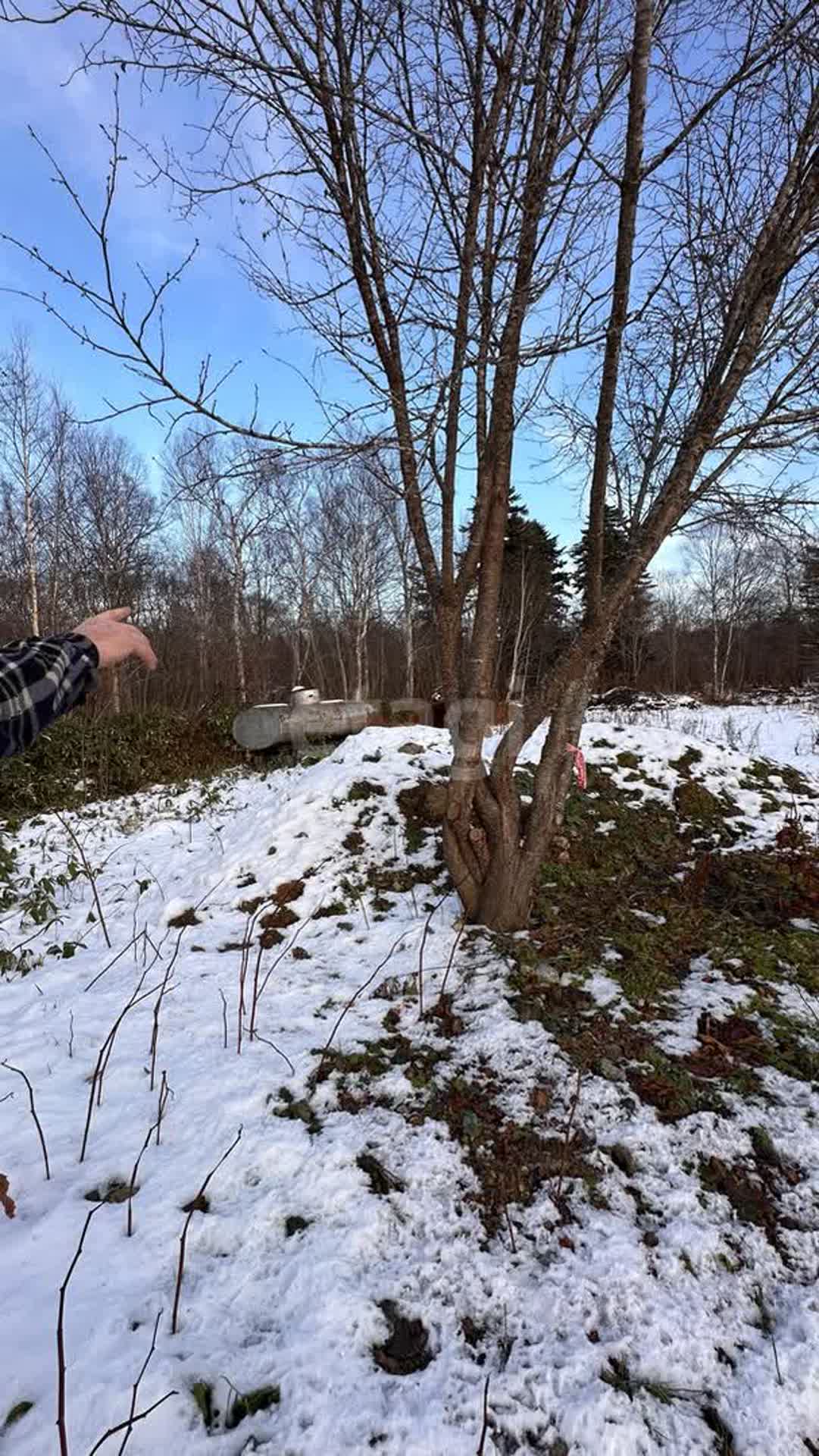 Продажа участка, Южно-Сахалинск, Сахалинская область,  Южно-Сахалинск