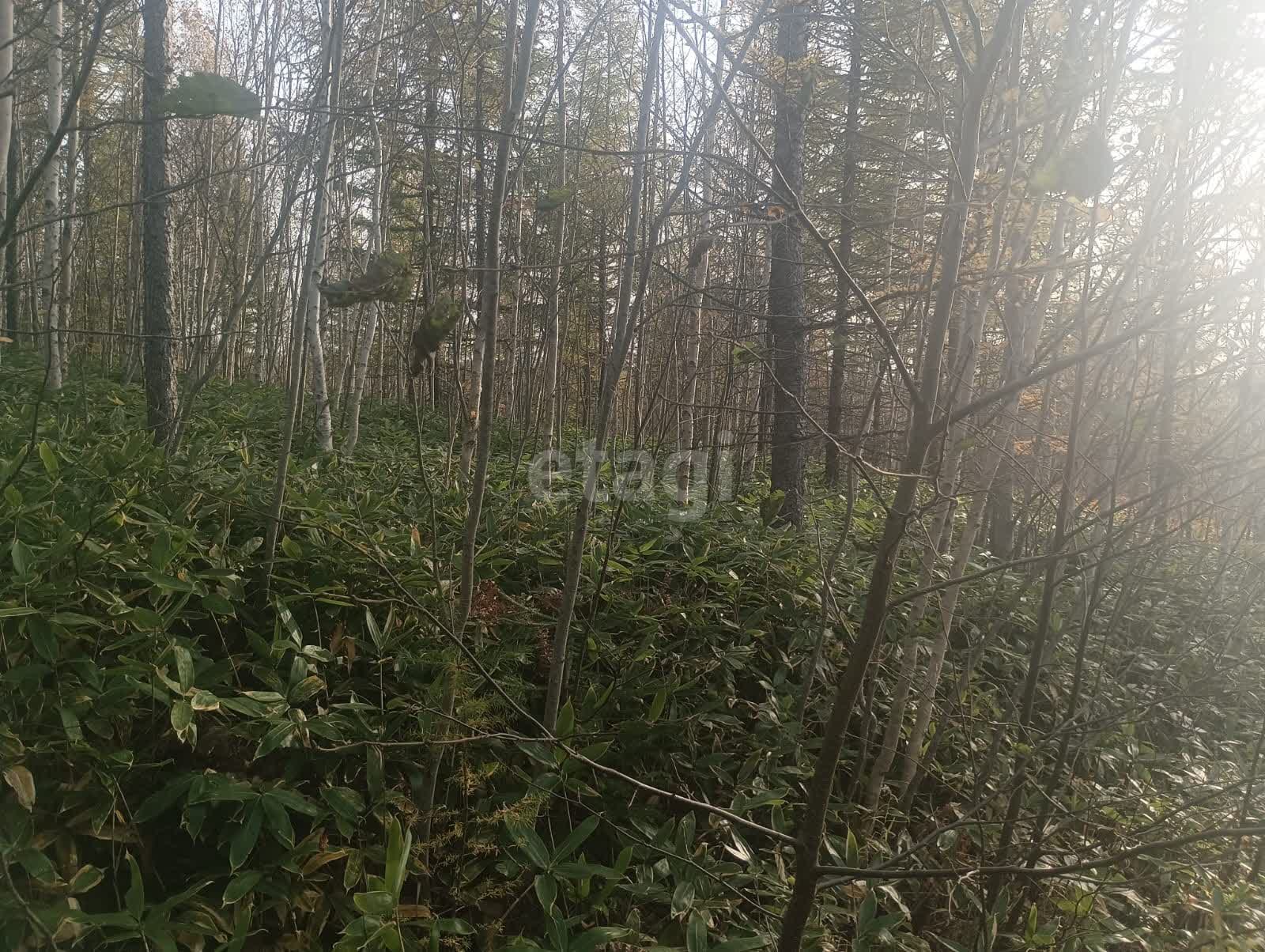 Продажа участка, Южно-Сахалинск, Сахалинская область,  Южно-Сахалинск