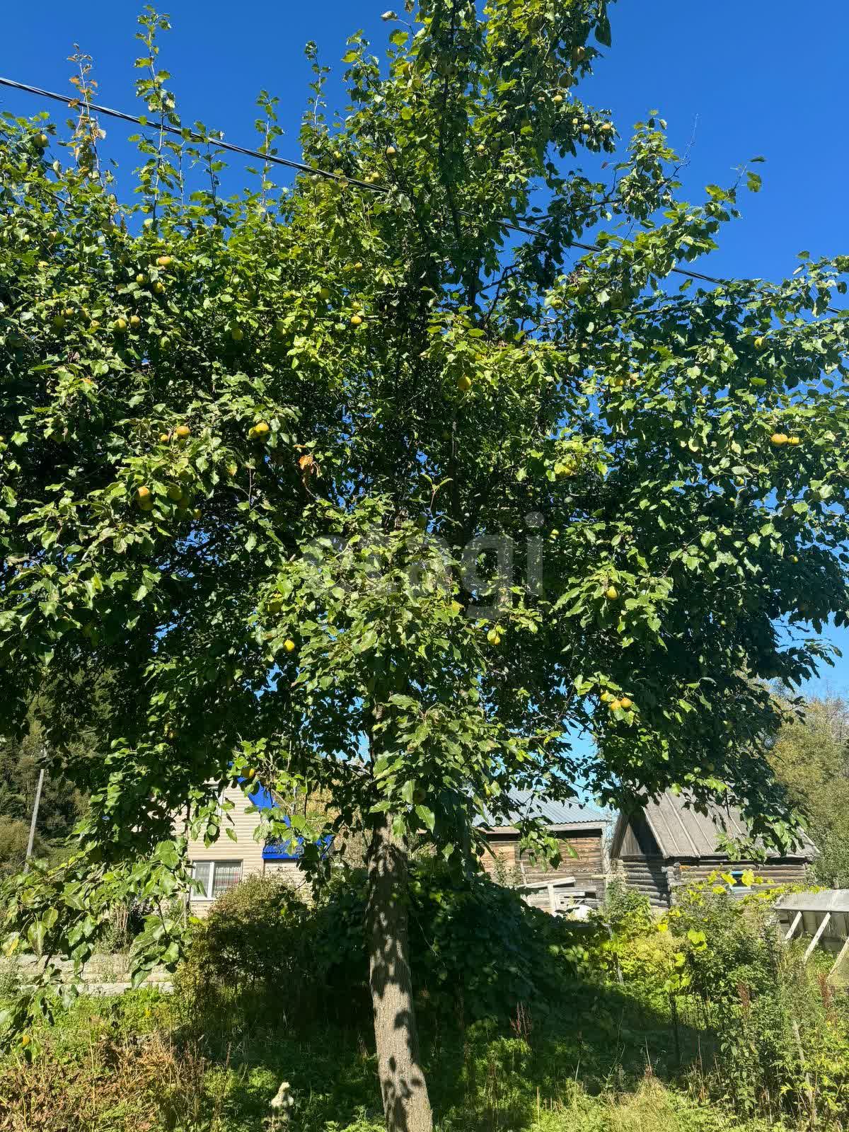 Продажа участка, Южно-Сахалинск, Сахалинская область,  Южно-Сахалинск