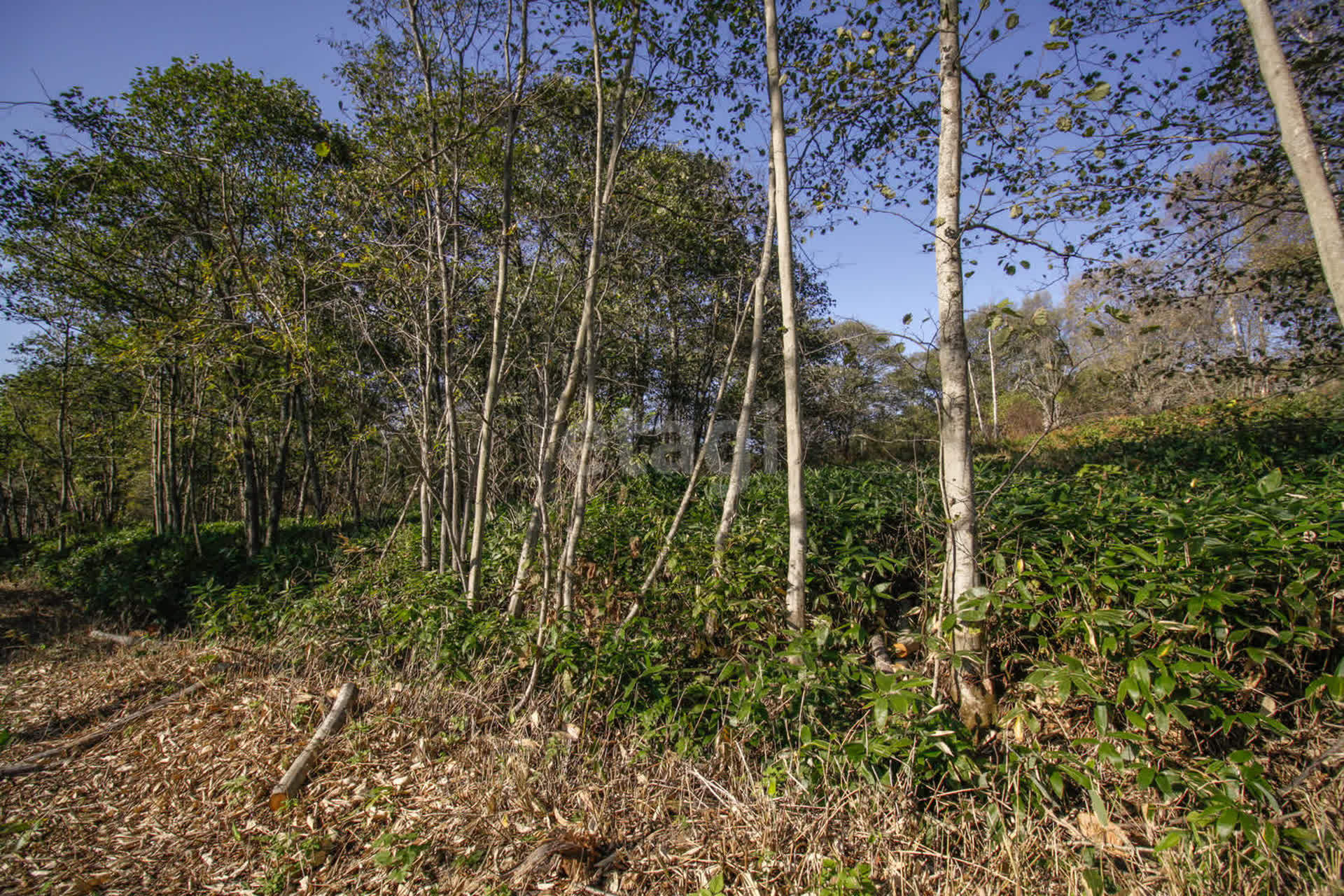 Продажа участка, Южно-Сахалинск, Сахалинская область,  Южно-Сахалинск