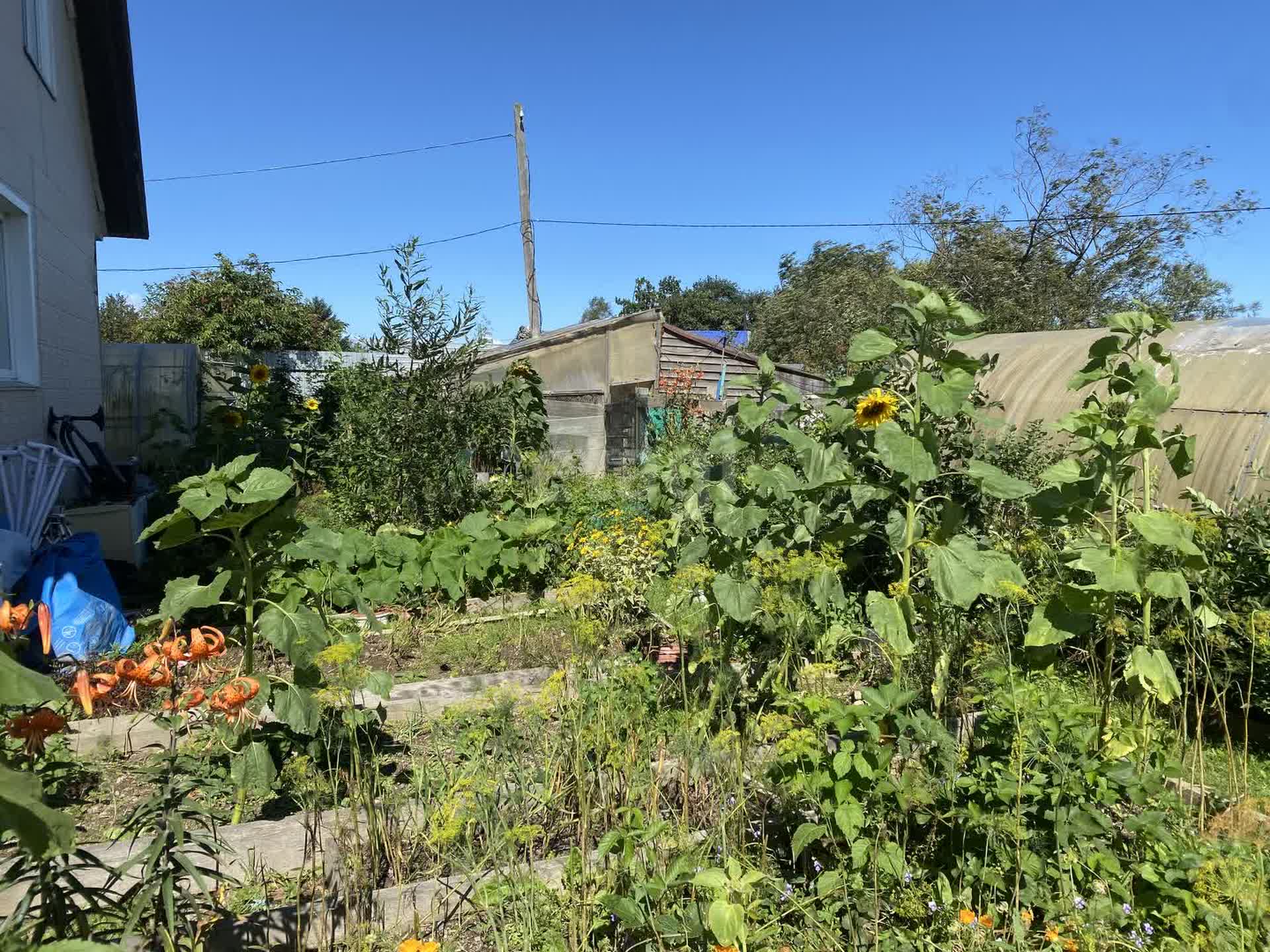 Продажа дома, 116м <sup>2</sup>, 10 сот., Южно-Сахалинск, Сахалинская область,  