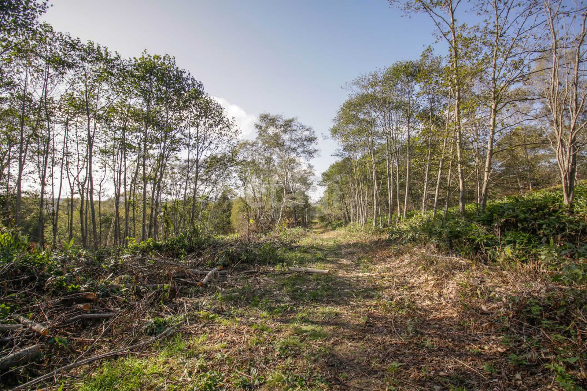 Продажа участка, Южно-Сахалинск, Сахалинская область,  Южно-Сахалинск