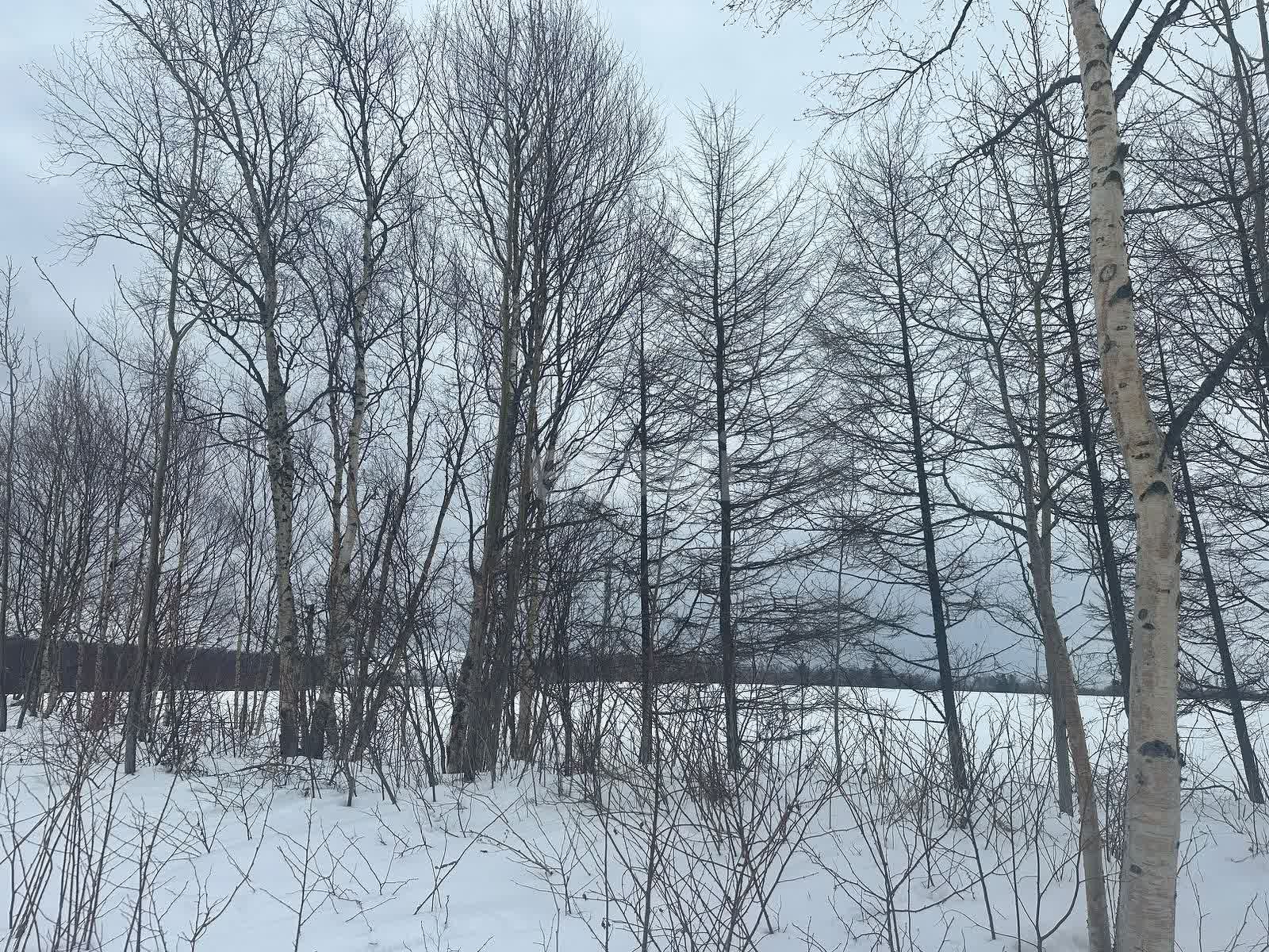 Продажа участка, Южно-Сахалинск, Сахалинская область,  Южно-Сахалинск