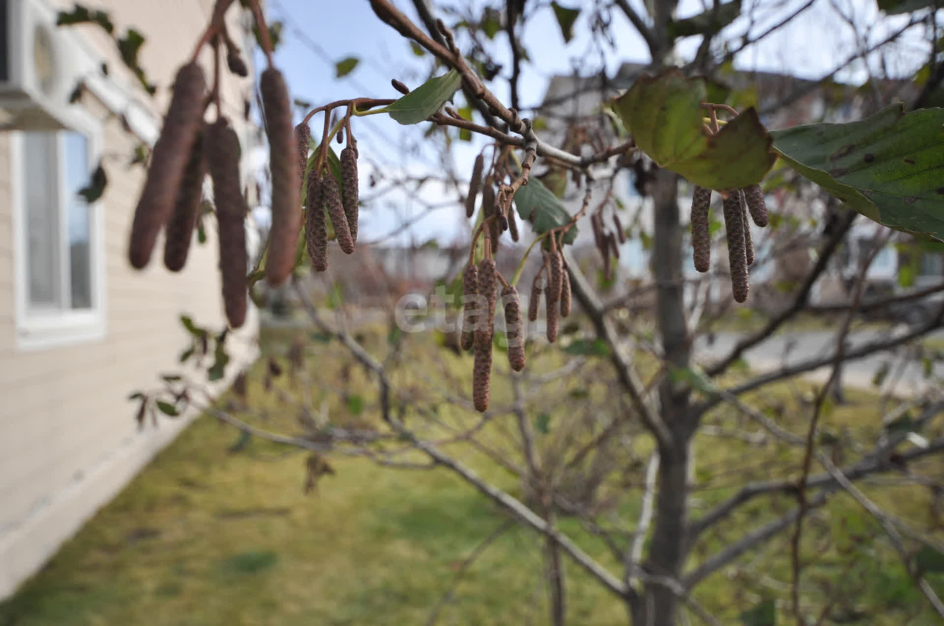 Аренда 2-комнатной квартиры, Южно-Сахалинск, Сахалинская область,  Южно-Сахалинск