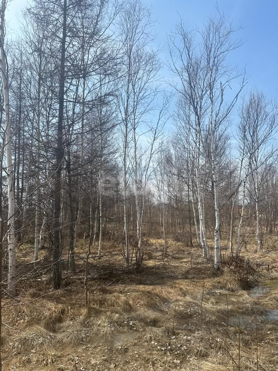 Продажа участка, Южно-Сахалинск, Сахалинская область,  Южно-Сахалинск