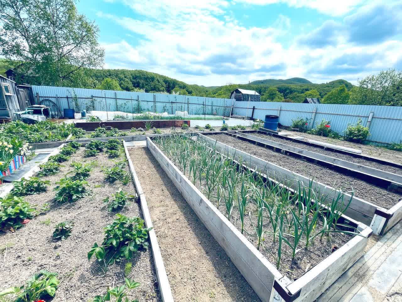 Продажа дачи, 24м <sup>2</sup>, 5 сот., Южно-Сахалинск, Сахалинская область,  Южно-Сахалинск