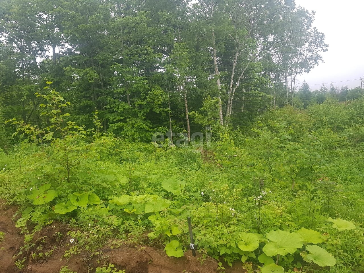 Продажа участка, Южно-Сахалинск, Сахалинская область,  Южно-Сахалинск