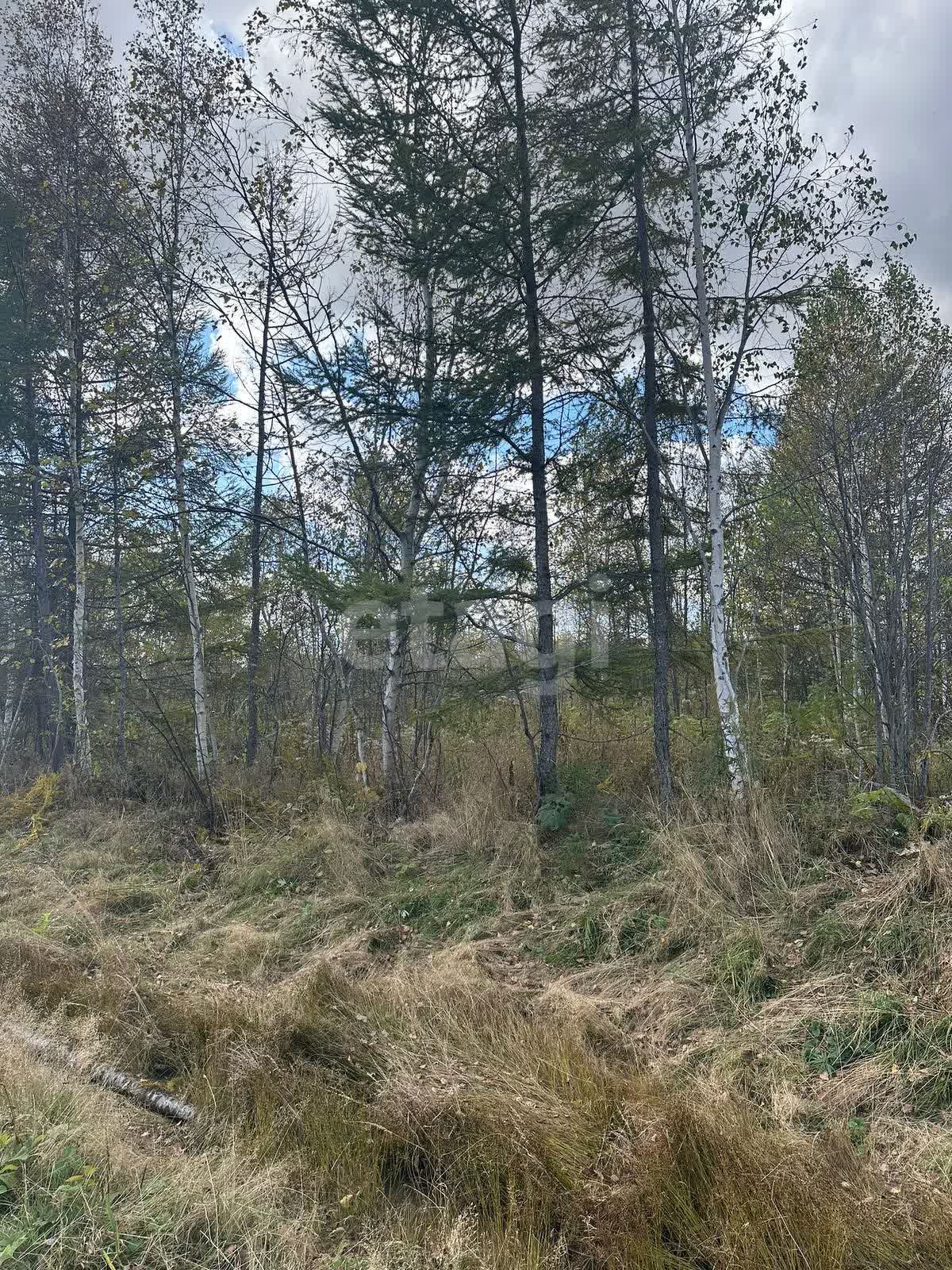 Продажа участка, Южно-Сахалинск, Сахалинская область,  Южно-Сахалинск