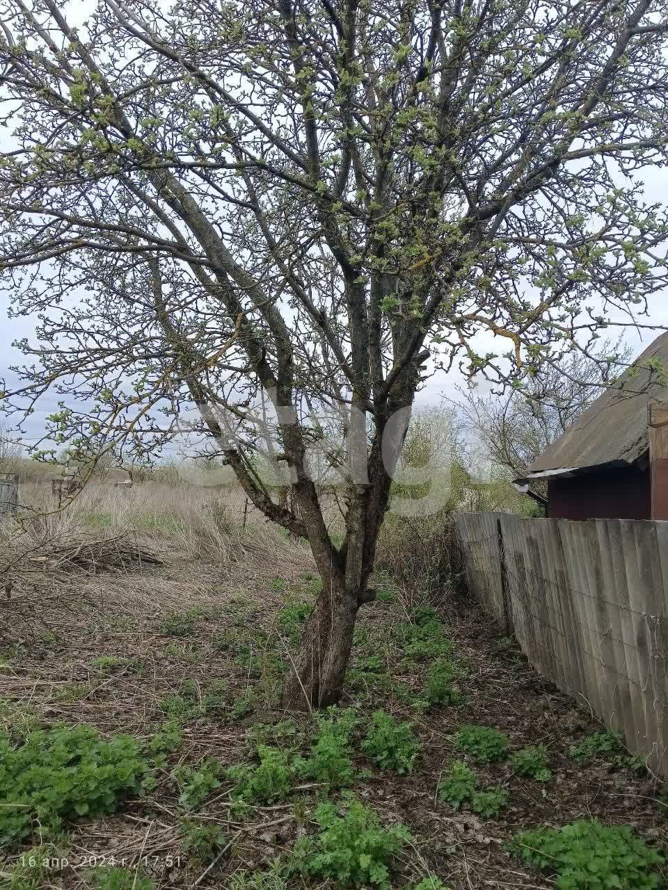 Купить загородную недвижимость в районе Русь СНТ в Брянске, продажа недорого